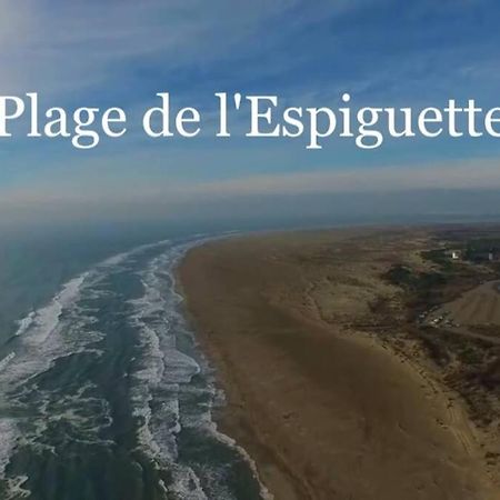 Grand Studio Au Grau-Du-Roi Proche Seaquarium Et Plage Le Grau-du-Roi Esterno foto