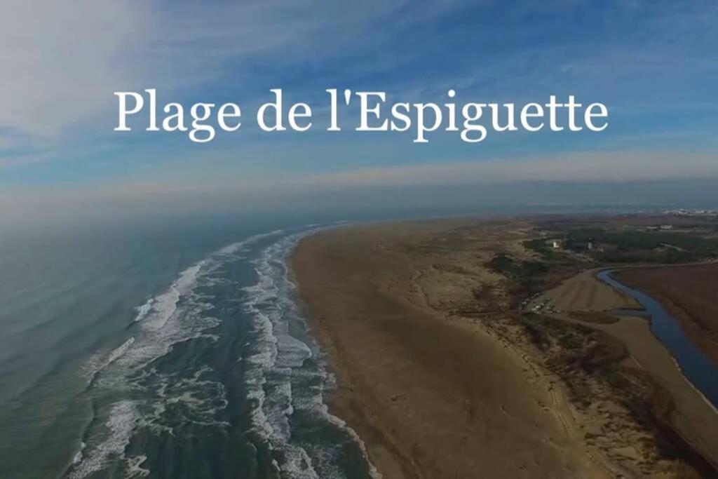 Grand Studio Au Grau-Du-Roi Proche Seaquarium Et Plage Le Grau-du-Roi Esterno foto